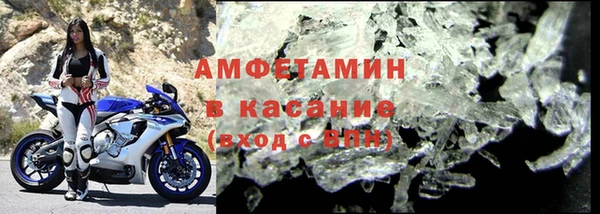 гидра Михайловка