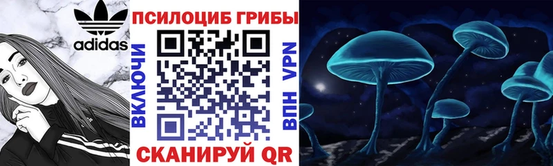 Галлюциногенные грибы Psilocybine cubensis  Купить где  Анадырь 